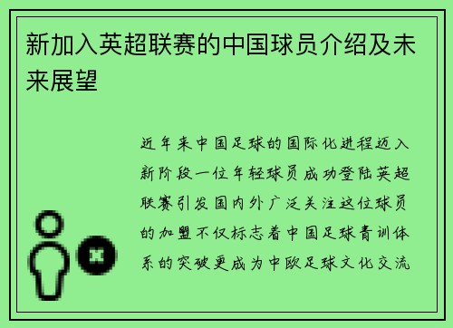 新加入英超联赛的中国球员介绍及未来展望